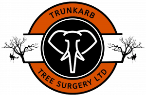 TrunkArb New Logo 2024